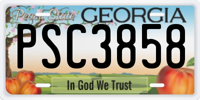 GA license plate PSC3858