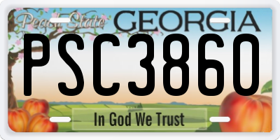 GA license plate PSC3860