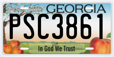 GA license plate PSC3861