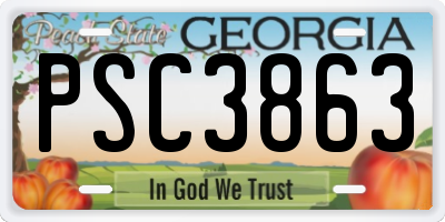 GA license plate PSC3863