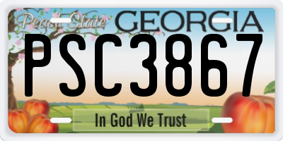 GA license plate PSC3867