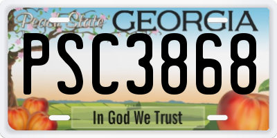 GA license plate PSC3868