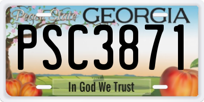 GA license plate PSC3871