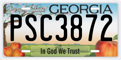 GA license plate PSC3872