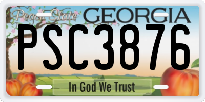 GA license plate PSC3876