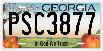GA license plate PSC3877