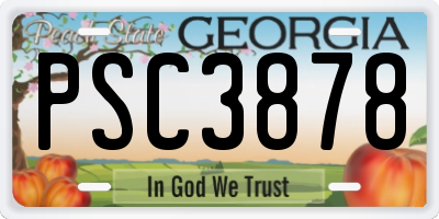 GA license plate PSC3878