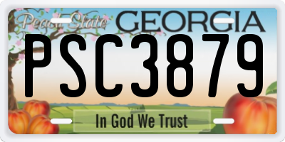 GA license plate PSC3879