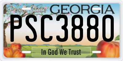 GA license plate PSC3880