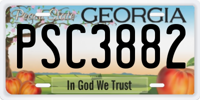 GA license plate PSC3882