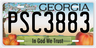 GA license plate PSC3883