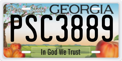 GA license plate PSC3889