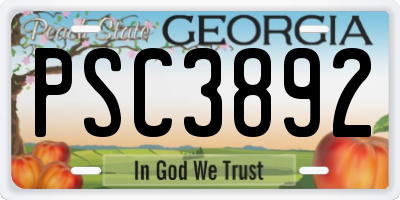 GA license plate PSC3892