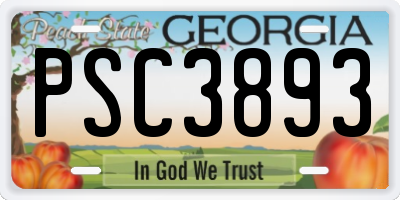 GA license plate PSC3893
