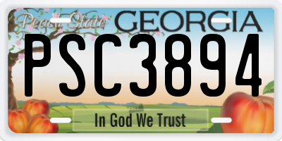 GA license plate PSC3894