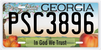 GA license plate PSC3896