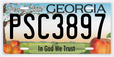 GA license plate PSC3897