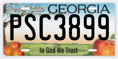 GA license plate PSC3899