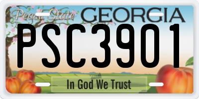 GA license plate PSC3901