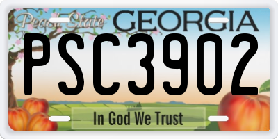 GA license plate PSC3902