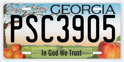 GA license plate PSC3905