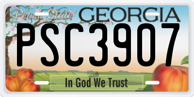 GA license plate PSC3907