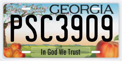 GA license plate PSC3909