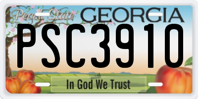 GA license plate PSC3910