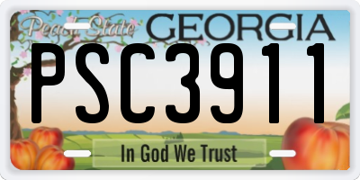 GA license plate PSC3911