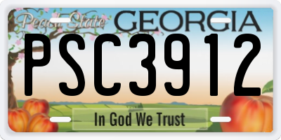 GA license plate PSC3912