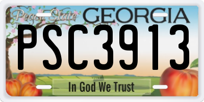 GA license plate PSC3913