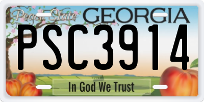 GA license plate PSC3914