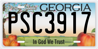 GA license plate PSC3917