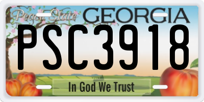 GA license plate PSC3918