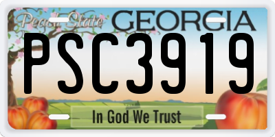 GA license plate PSC3919