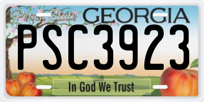 GA license plate PSC3923