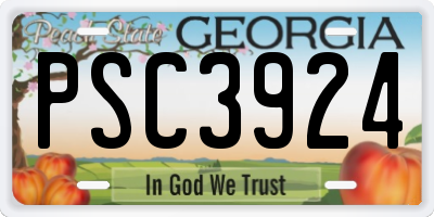 GA license plate PSC3924