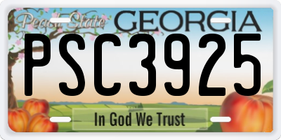 GA license plate PSC3925
