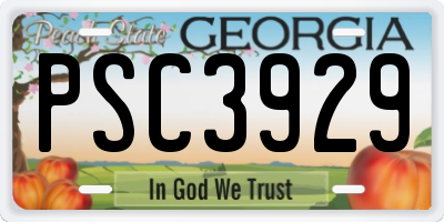 GA license plate PSC3929