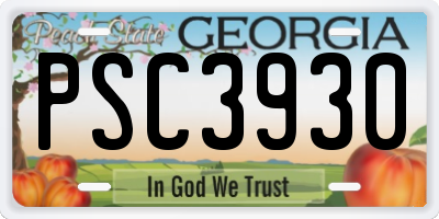 GA license plate PSC3930