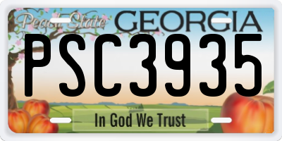 GA license plate PSC3935