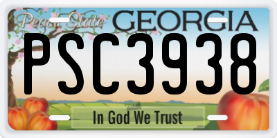 GA license plate PSC3938