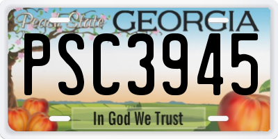 GA license plate PSC3945