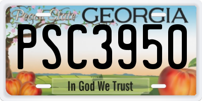 GA license plate PSC3950