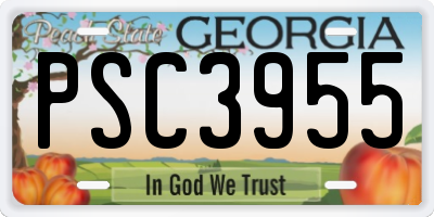 GA license plate PSC3955