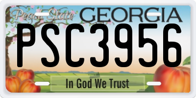 GA license plate PSC3956