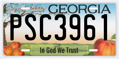 GA license plate PSC3961