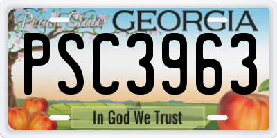 GA license plate PSC3963