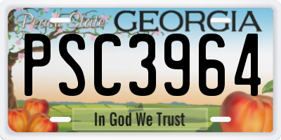 GA license plate PSC3964