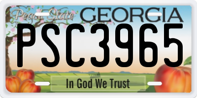 GA license plate PSC3965